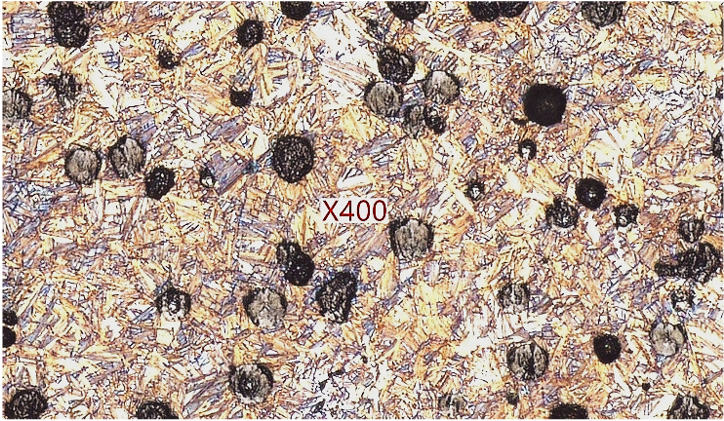 ADI 処理後 ミクロ組織