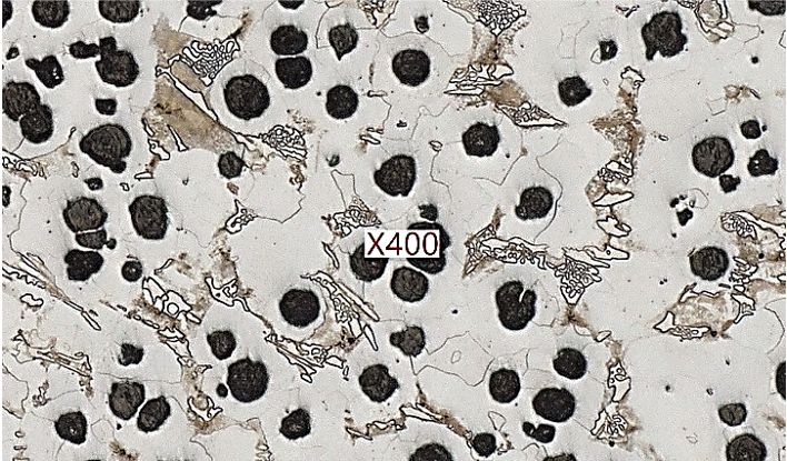 処理前 ミクロ組織