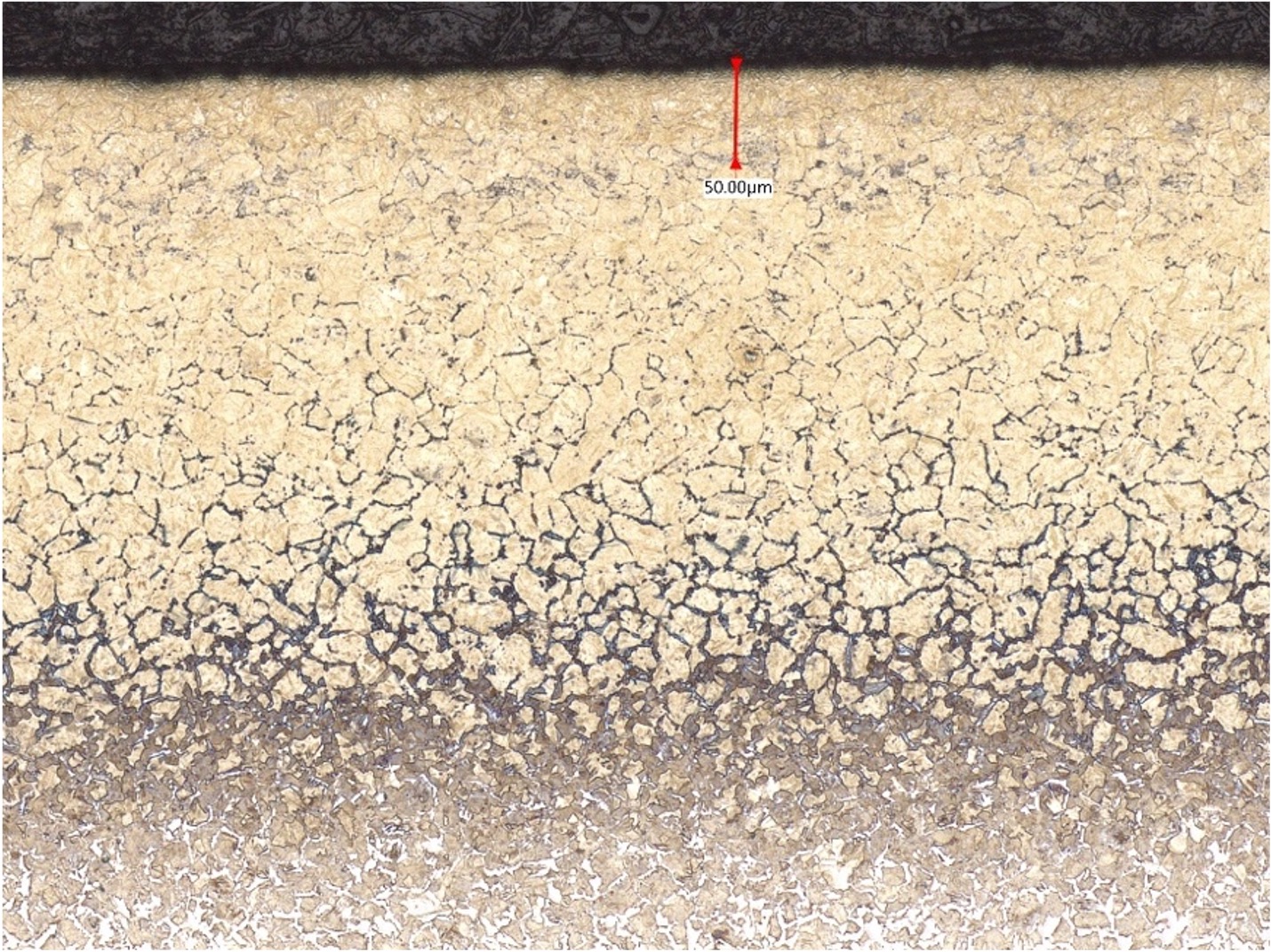 SPCC ミクロ組織