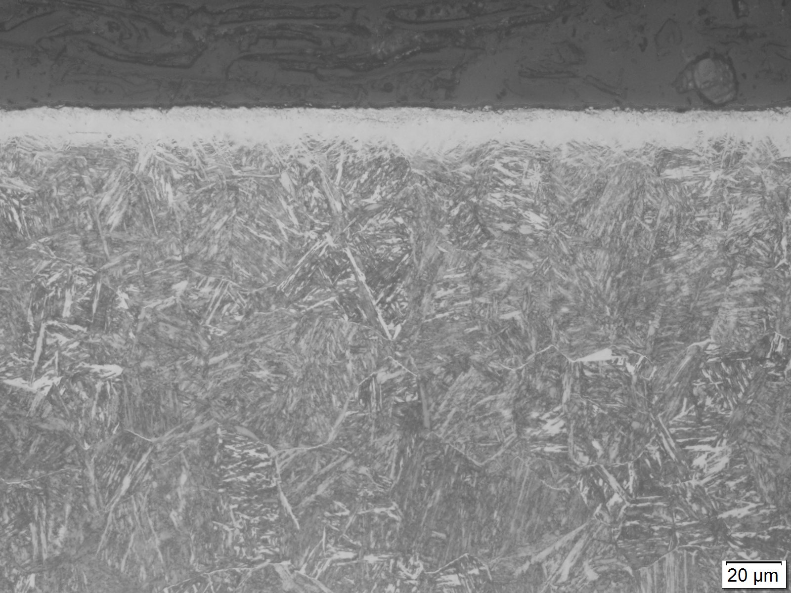 フルナイト95 組織写真