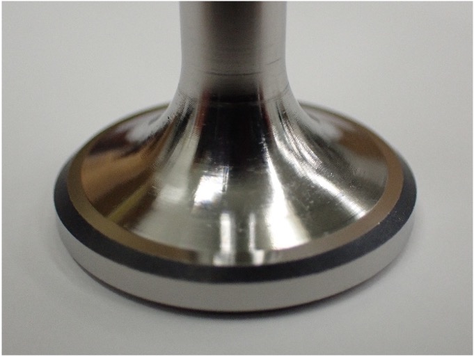 Ti-6Al-4V 処理前写真