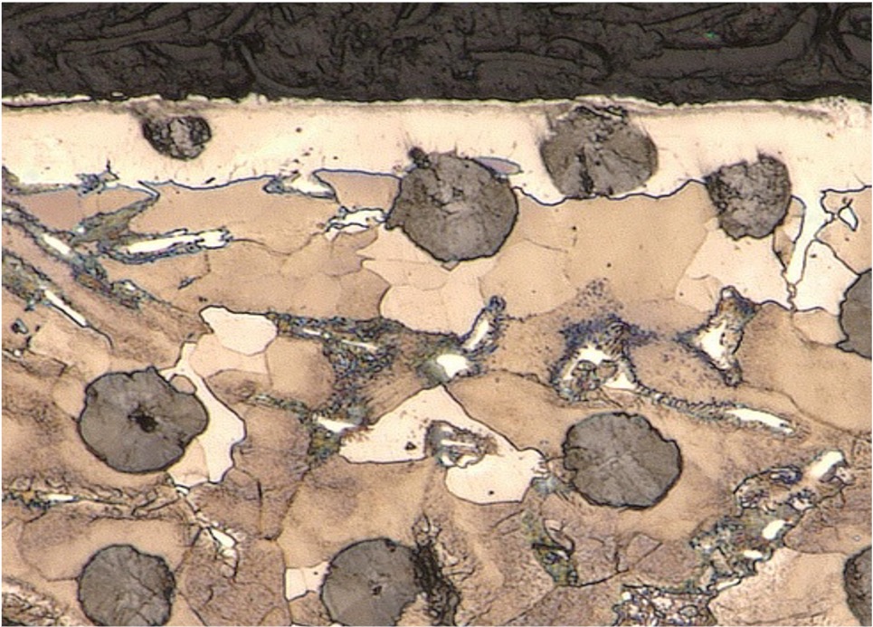 FCD450 ミクロ組織